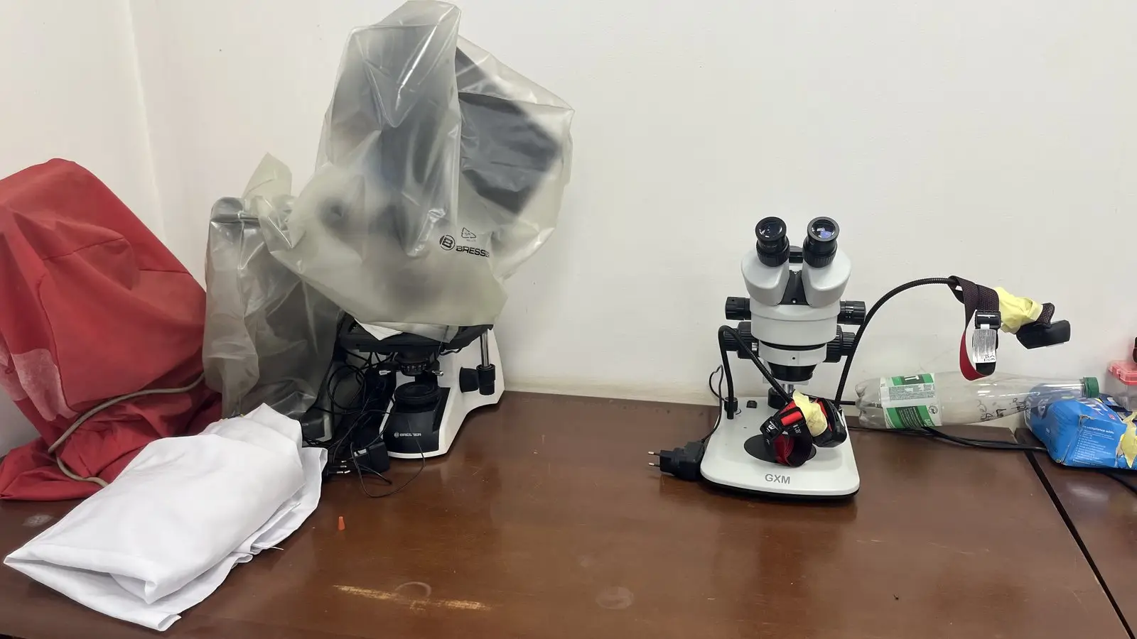 Biochemical Laboratory