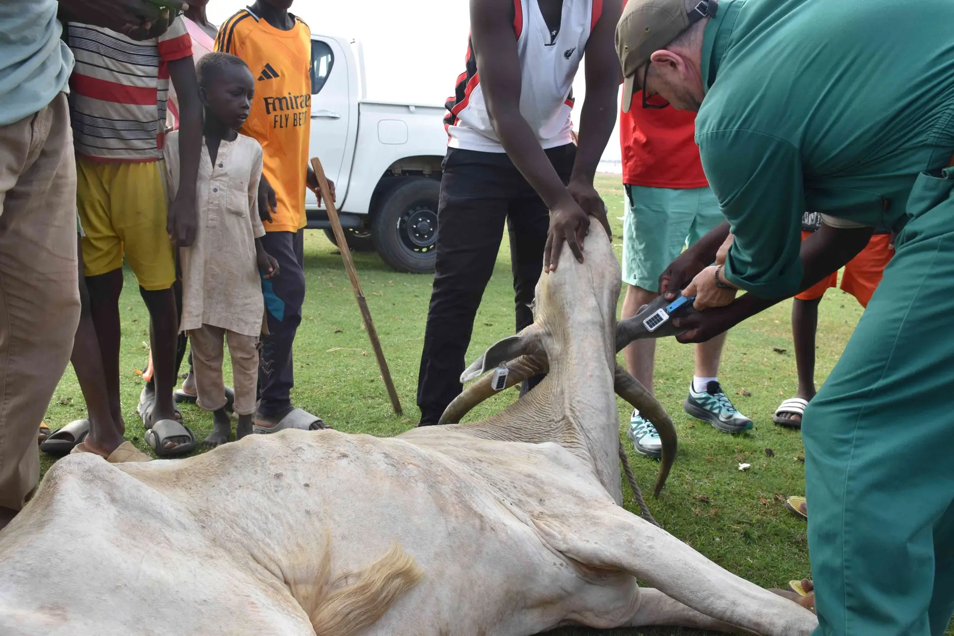 GPS tracking and schistosomiasis (1)