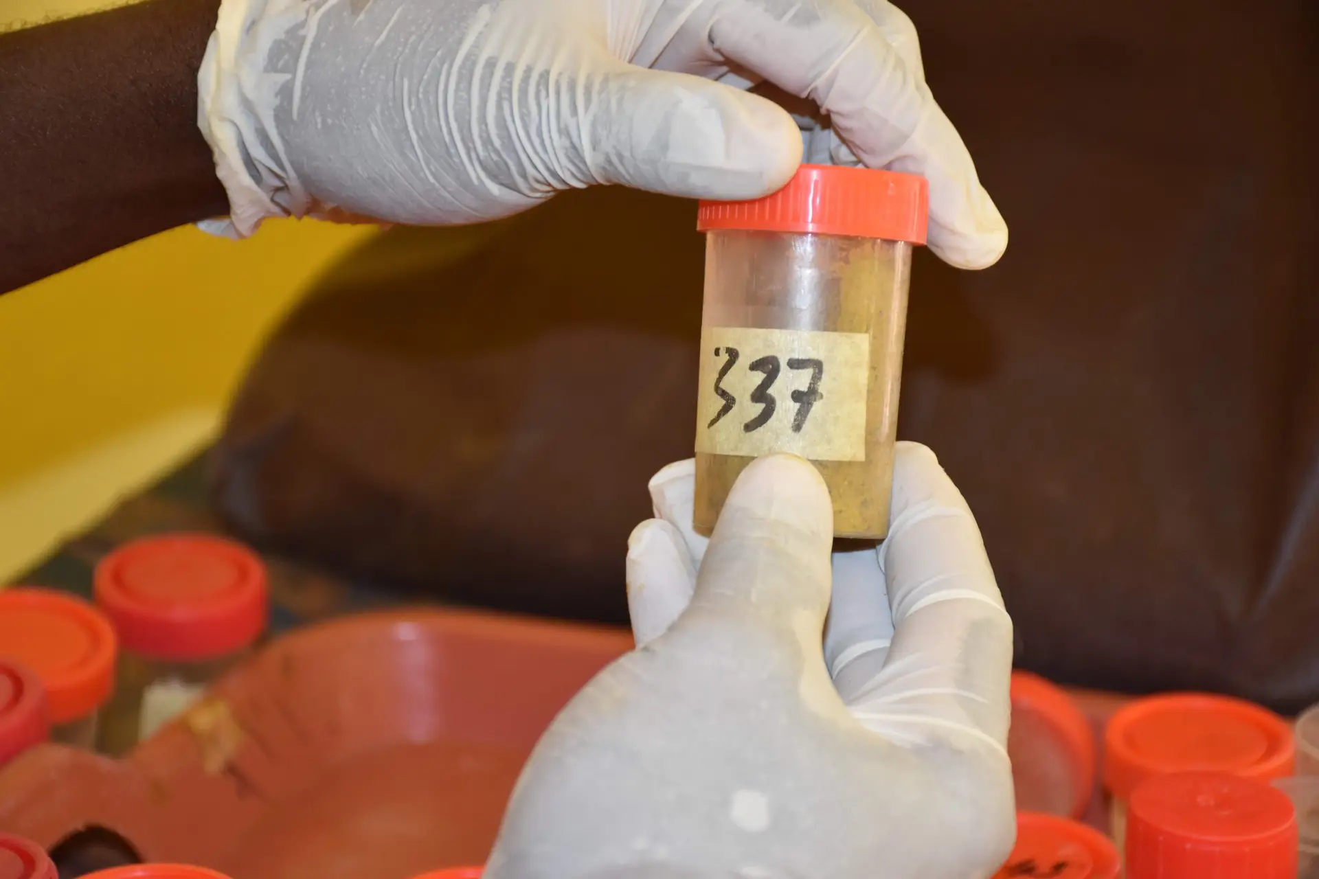 Field sample processing (1)