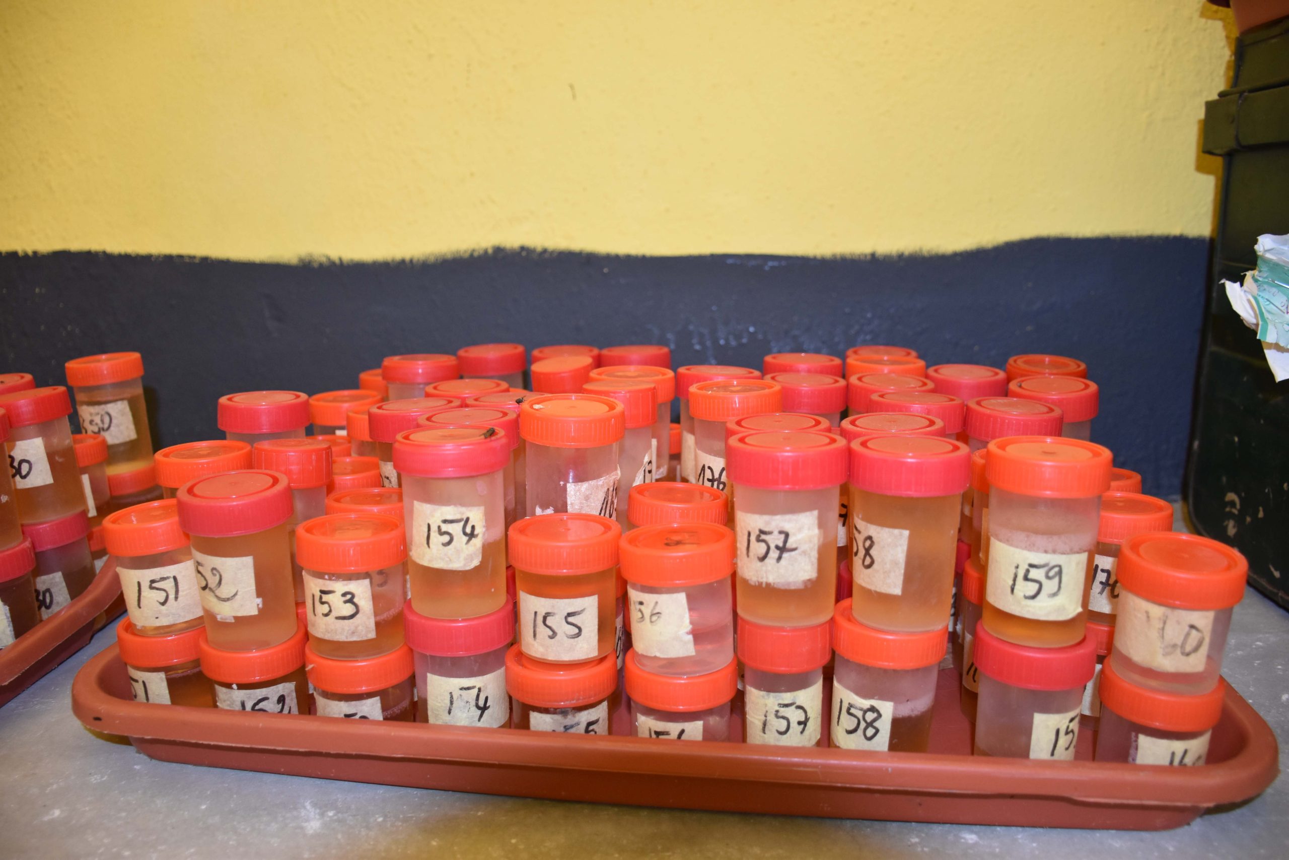 Field sample processing (2)