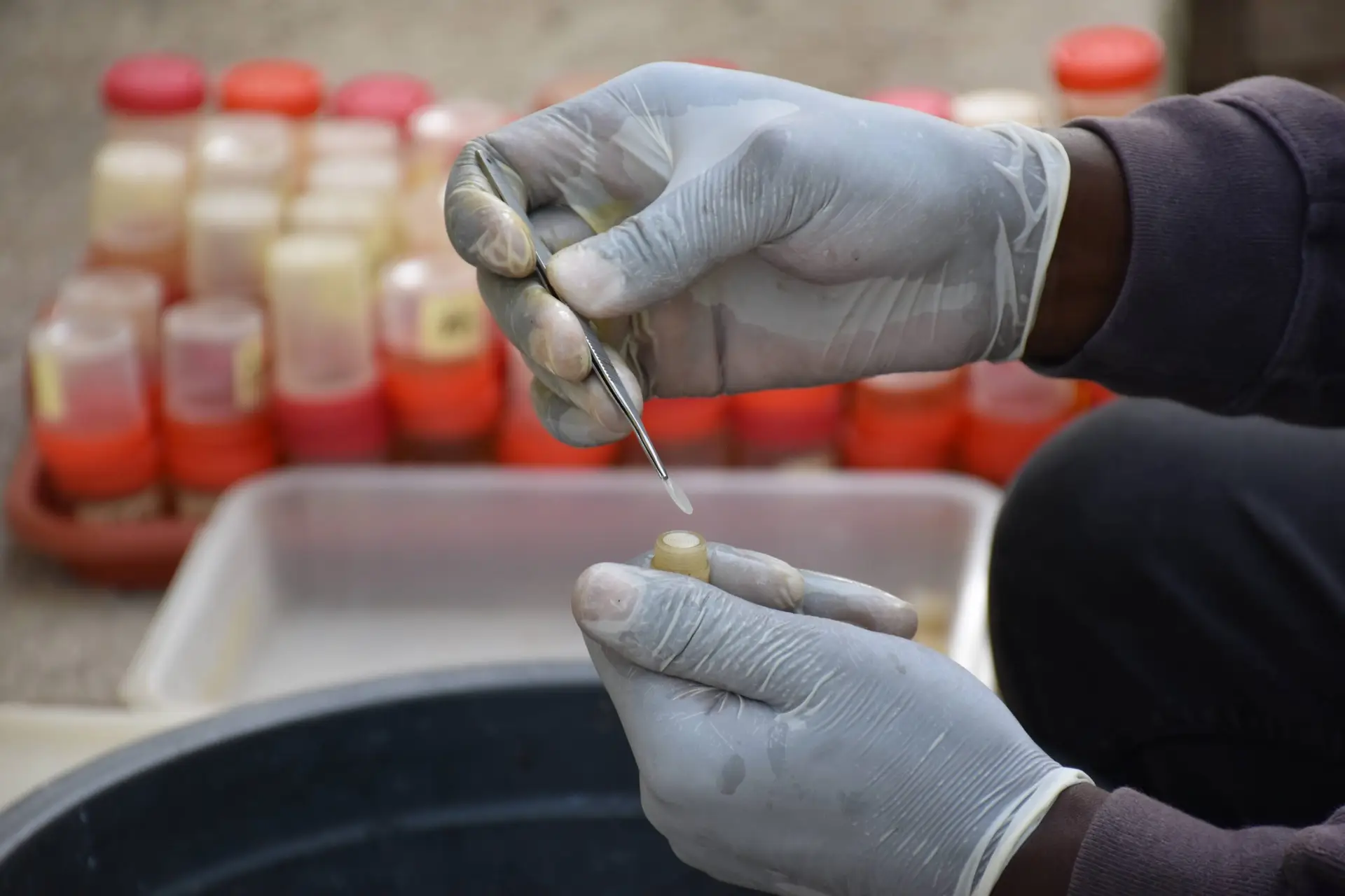 Field sample processing (4)