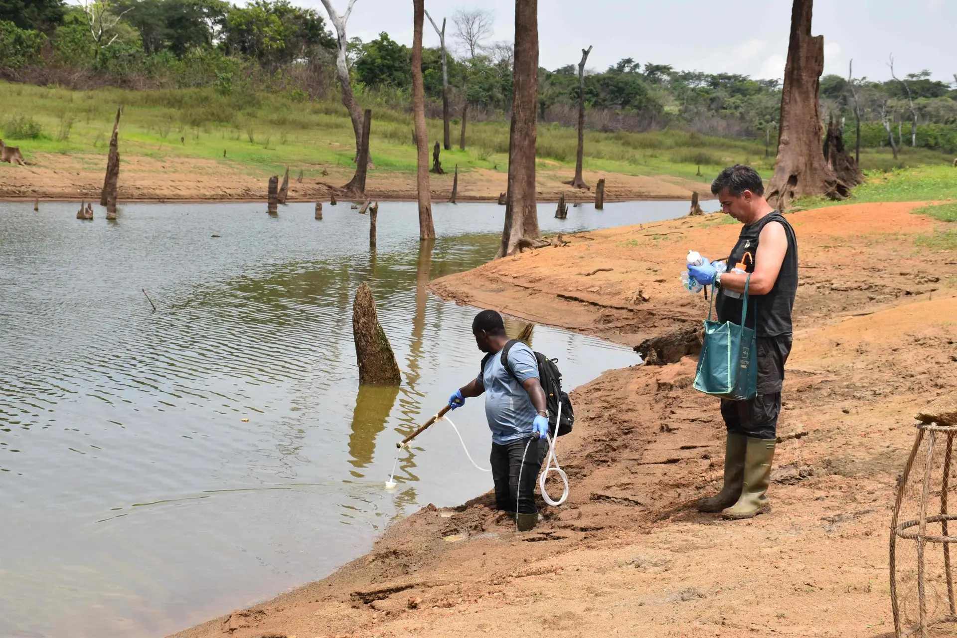 Environmental DNA (eDNA) sampling (1)